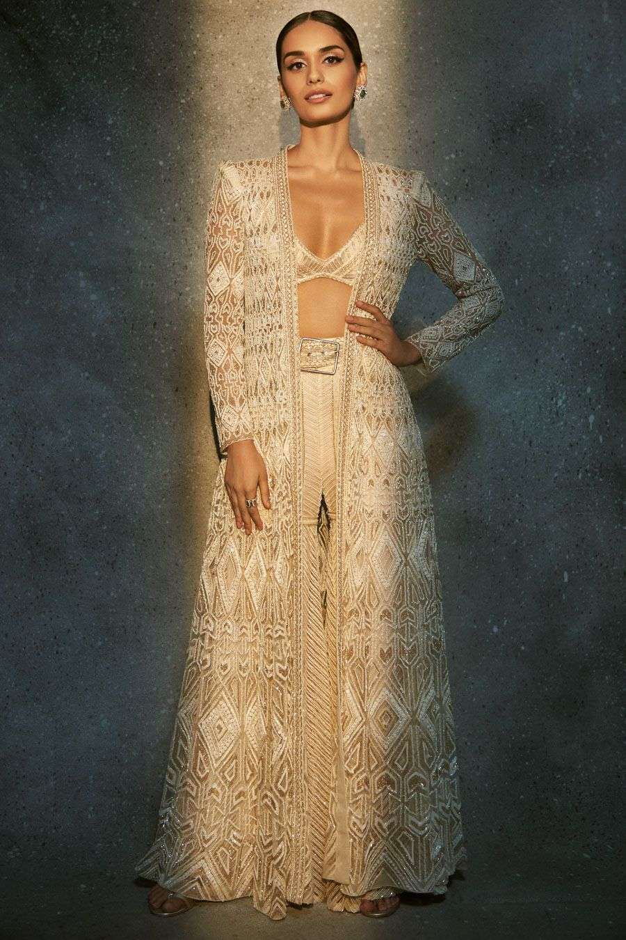 Buy Ritika Mirchandani Soft Ivory Net, Crepe Double Georgette