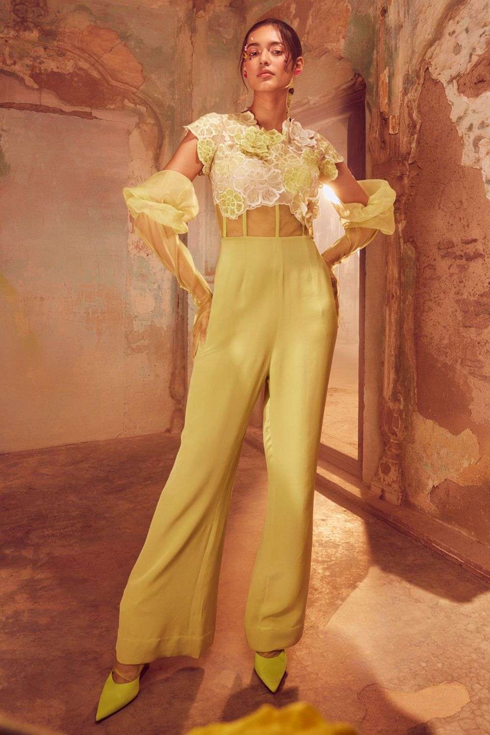 Buy Shriya Som Soft Green tulle, crepe Hand and Machine Embroidery